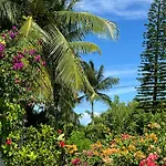 Les Jardins De Joyce