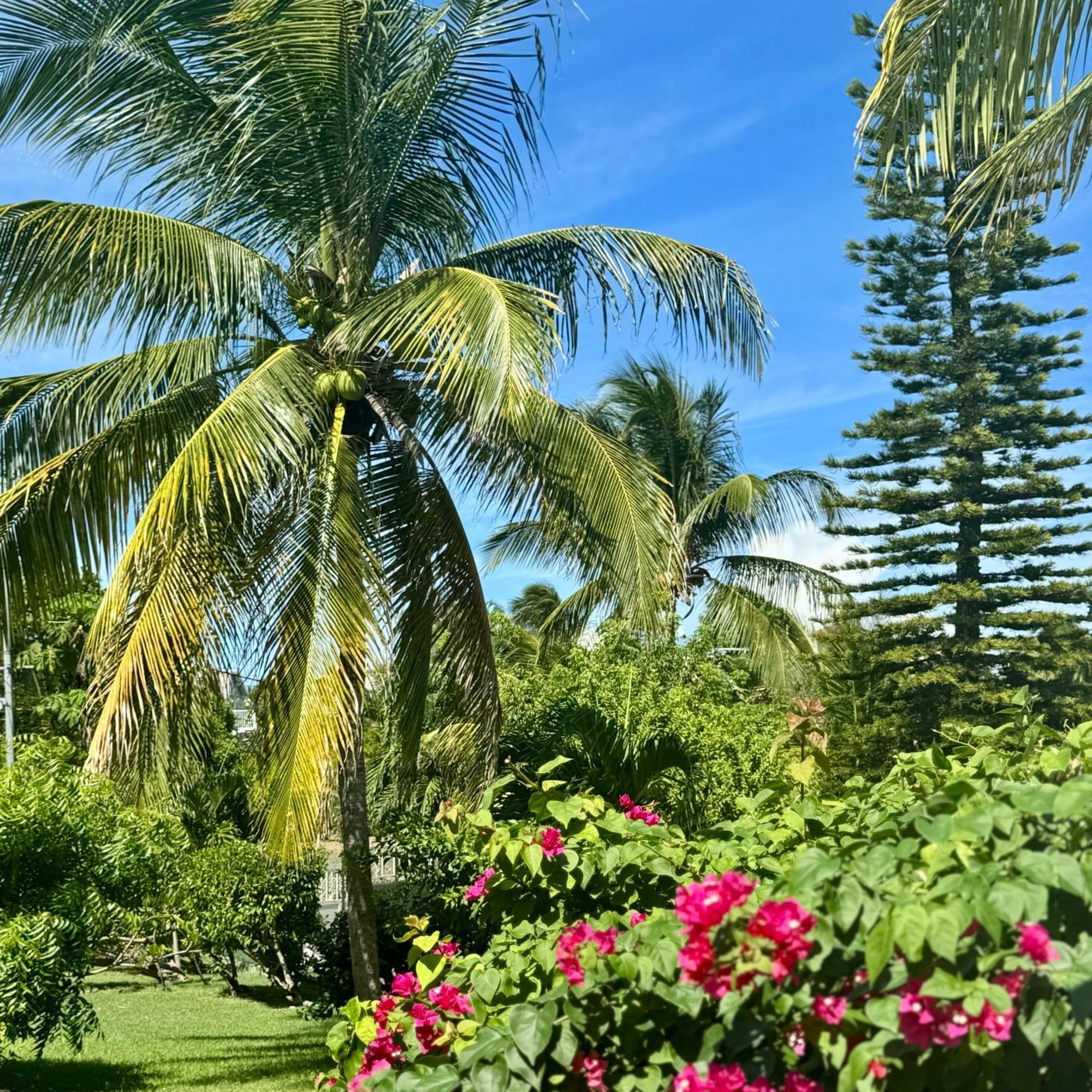 Les Jardins De Joyce Le Moule